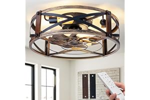 Passky 20" Farmhouse Flush Mount Ceiling Fans with Lights and Remote, Industrial Black Caged Low Profile Fandelier, 6 Speeds Bladeless Ceiling Fan for Bedroom, Kitchen, Living Room