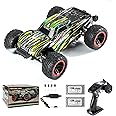 Double Delight Remote Control Car, 1:14 Scale RC Truck 38+ KM/H Speed, 2.4G All-Terrain Off-Road Truck Toy Gifts for Boys and Adults with 2 Rechargeable Batteries Provide 40+ Min Playtime (Green)