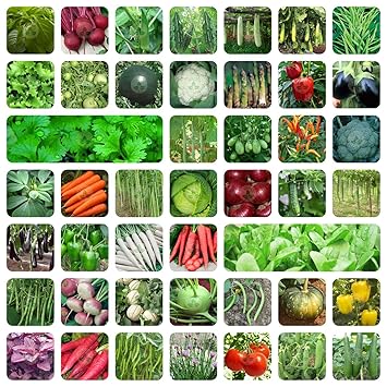 ONLY FOR ORGANIC 45 Variety Of Vegetable Seeds With Instruction Manual