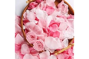 Eslibin 180 PCS Real Pink White Rose Flower Petals Confetti for Wedding Flower Girl to Throw, 1.75oz Freeze Dried Rose Petal for Proposal Centerpieces BabyShower Romantic Night Decor