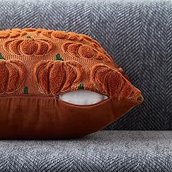 DFXSZ Fall Pillow Covers 18x18 Set of 2 Fall