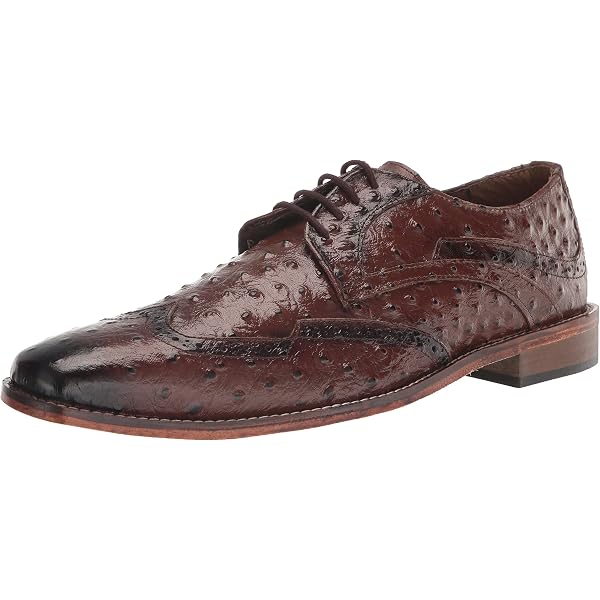 Amazon.com | Stacy Adams Men display picture 3