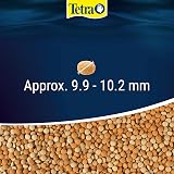 Tetra Tabimin Fish Food 120 Tablets Complete Food for All Bottom-Feeding Fish view 5