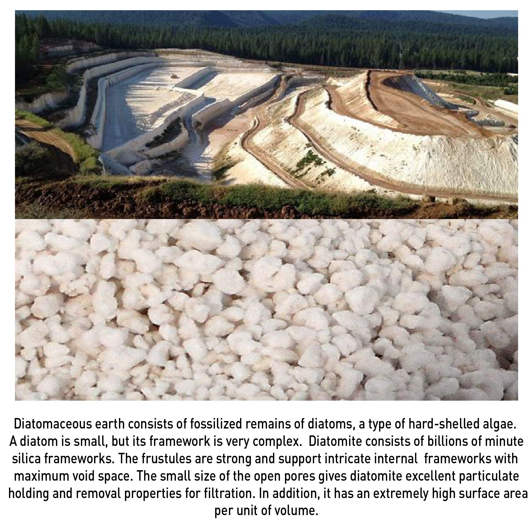 Dicalite Minerals DicaLite50C DE Diatomaceous Earth Pool Filter Powder