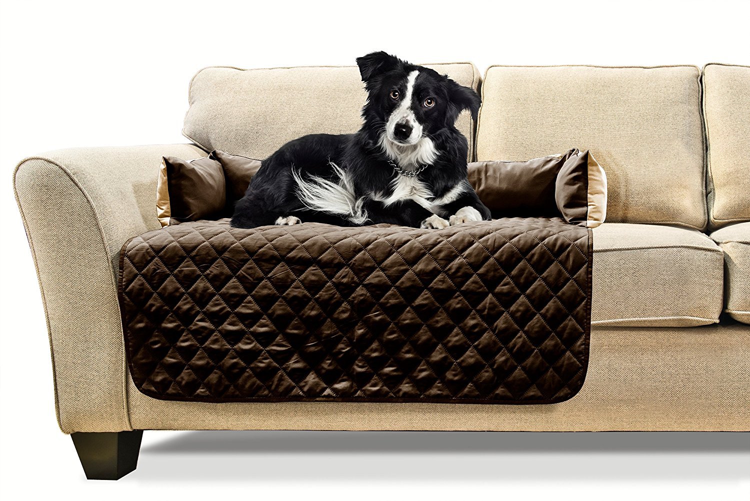 Dog owners fabric or leather furniture? Going to be spending some