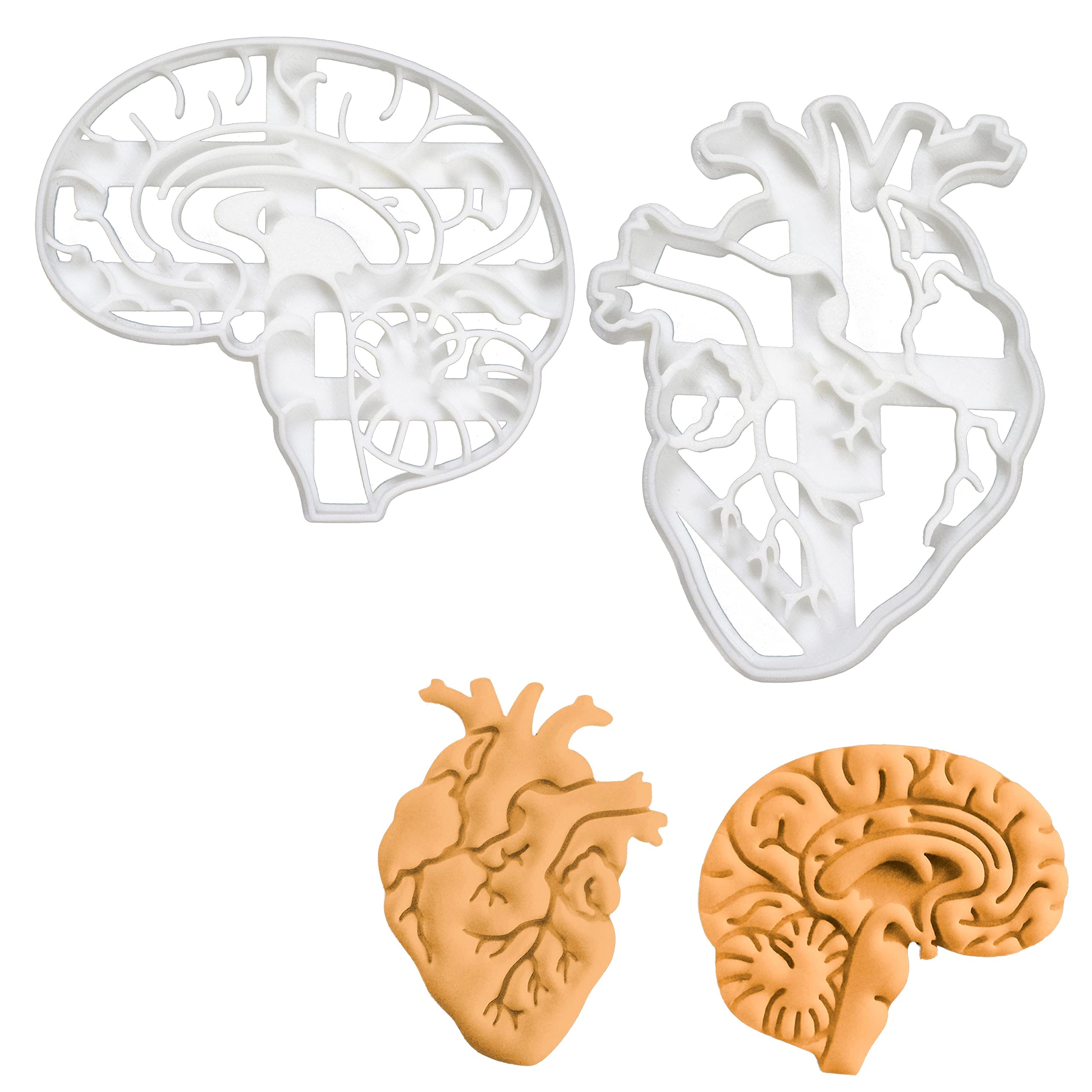 BAKERLOGY Set of 2 Anatomical Heart and Brain Cookie Cutters (Designs: Anatomical Brain and Heart) - Detailed Biscuit Cutter Design for Baking and Crafts, Ideal on Fondant, Dough, Clay