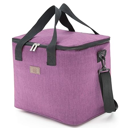 Decocasa Bolsa Térmica Porta Alimentos, Nevera Portátil, Bolsa ...