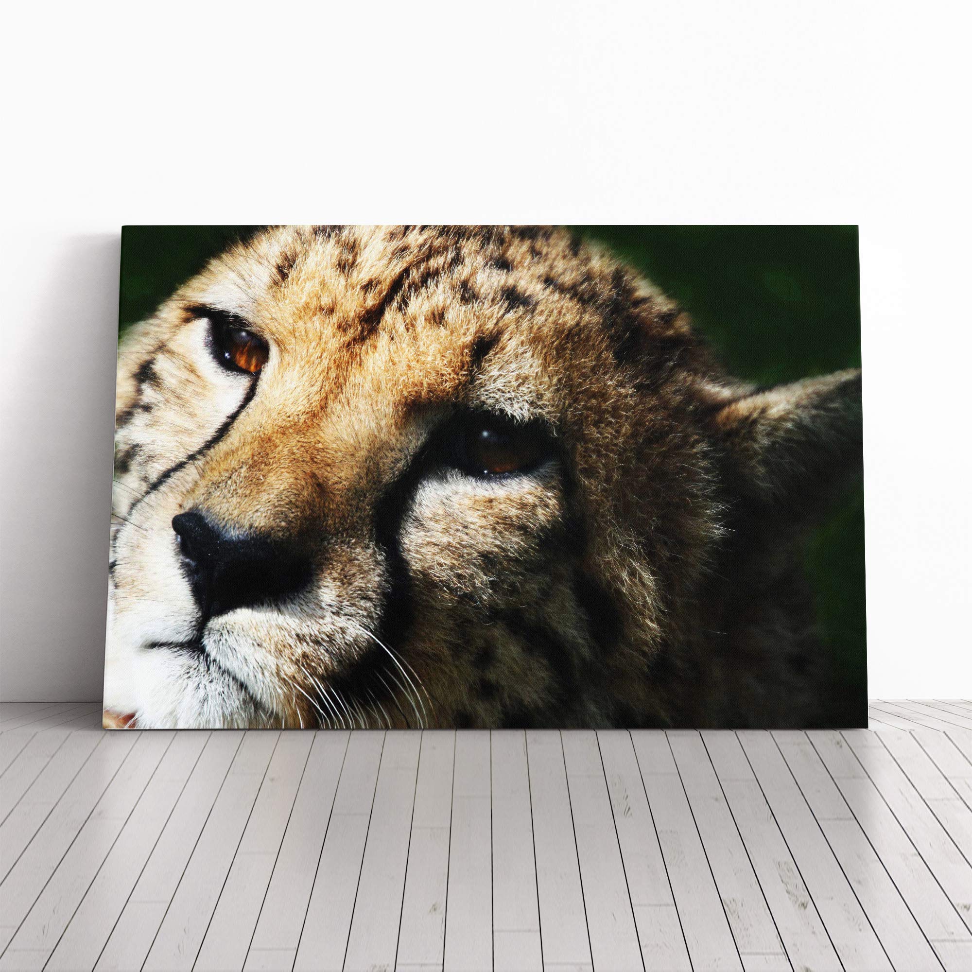 Cheetah Vol.6 Canvas Print | Gallery Wrapped 30mm Frame Wall Art | 20x14 inches | Ready to Hang | Modern Animals Picture | Living Room Bedroom Lounge Office
