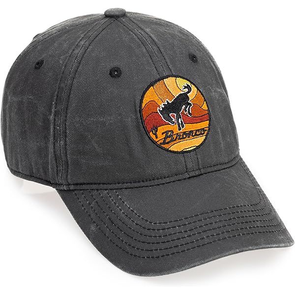 Fallout Nueva California Grateful Dead Gorra De Beisbol Steal Your Face Band Logo Nuevo Negro Unisex Size One Size Tropic Feel