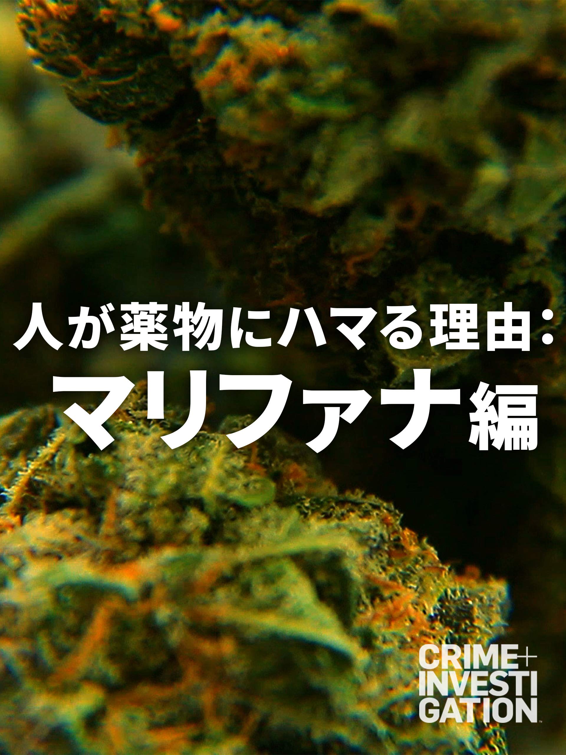 Amazon Co Jp 人が薬物にハマる理由 マリファナ編 字幕版 を観る Prime Video Amazon Co Jp 人が薬物にハマる理由 マリファナ編 字幕版 を観る Prime Video
