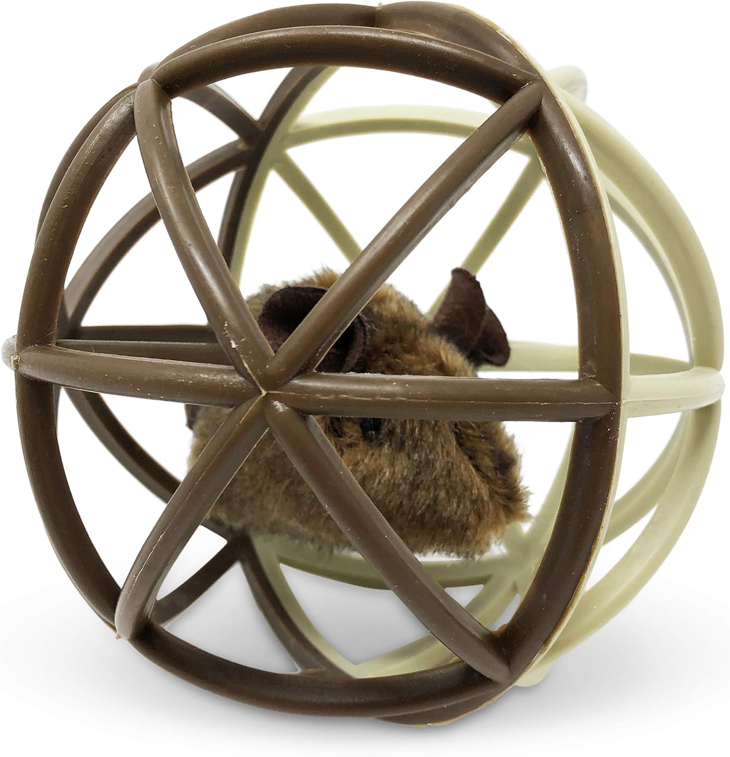 german shorthair dogs for sale