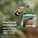 Jacobi Jayne Flutter Butter EcoRefills Original Peanut Butter Bird Food 24 view 4