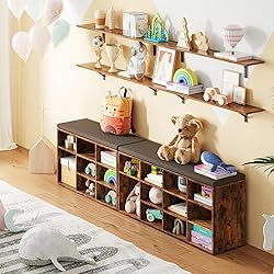 DINZI LVJ Shoe Storage Bench with Cushion, Cubby