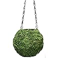 SuperMoss (29348) Kokedama Planter, 6", Fresh Green