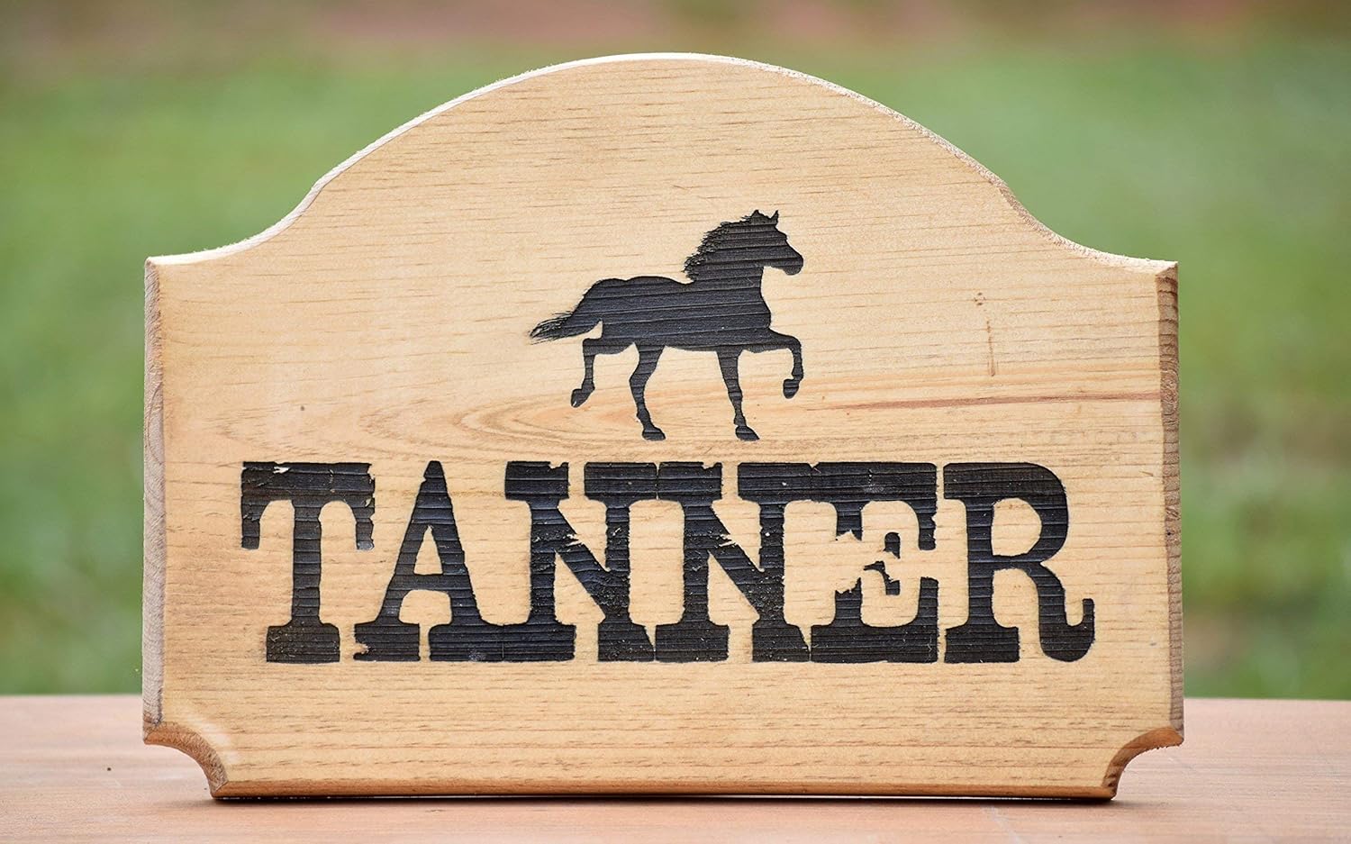 Amazon Com Personalized Horse Stall Name Plate Horse Stall