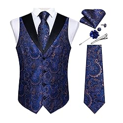 DiBanGu Mens Vest and Tie Set Formal Paisley