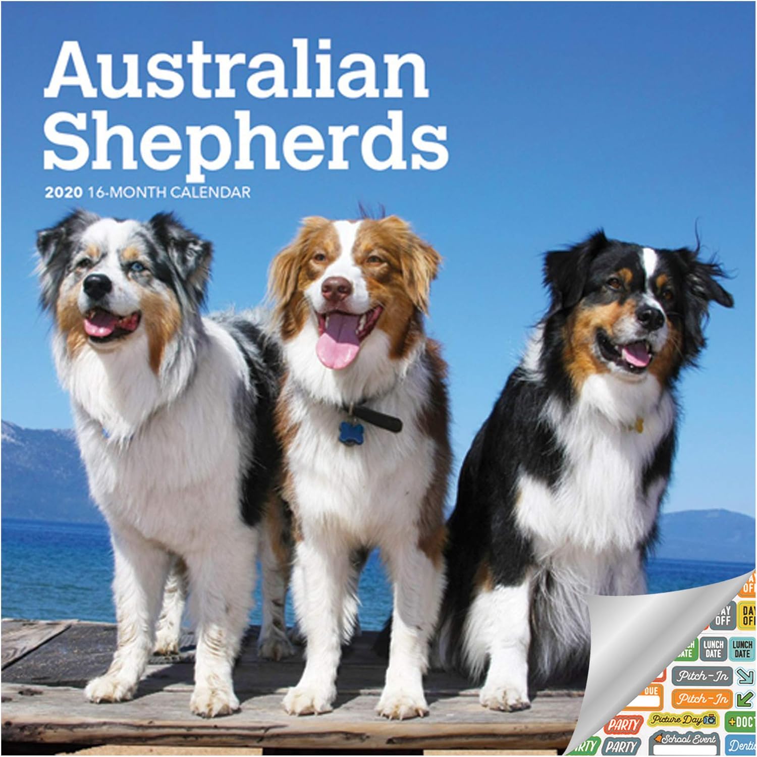 Amazon Australian Mini Shepherds Calendar 2020 Set Deluxe 2020 