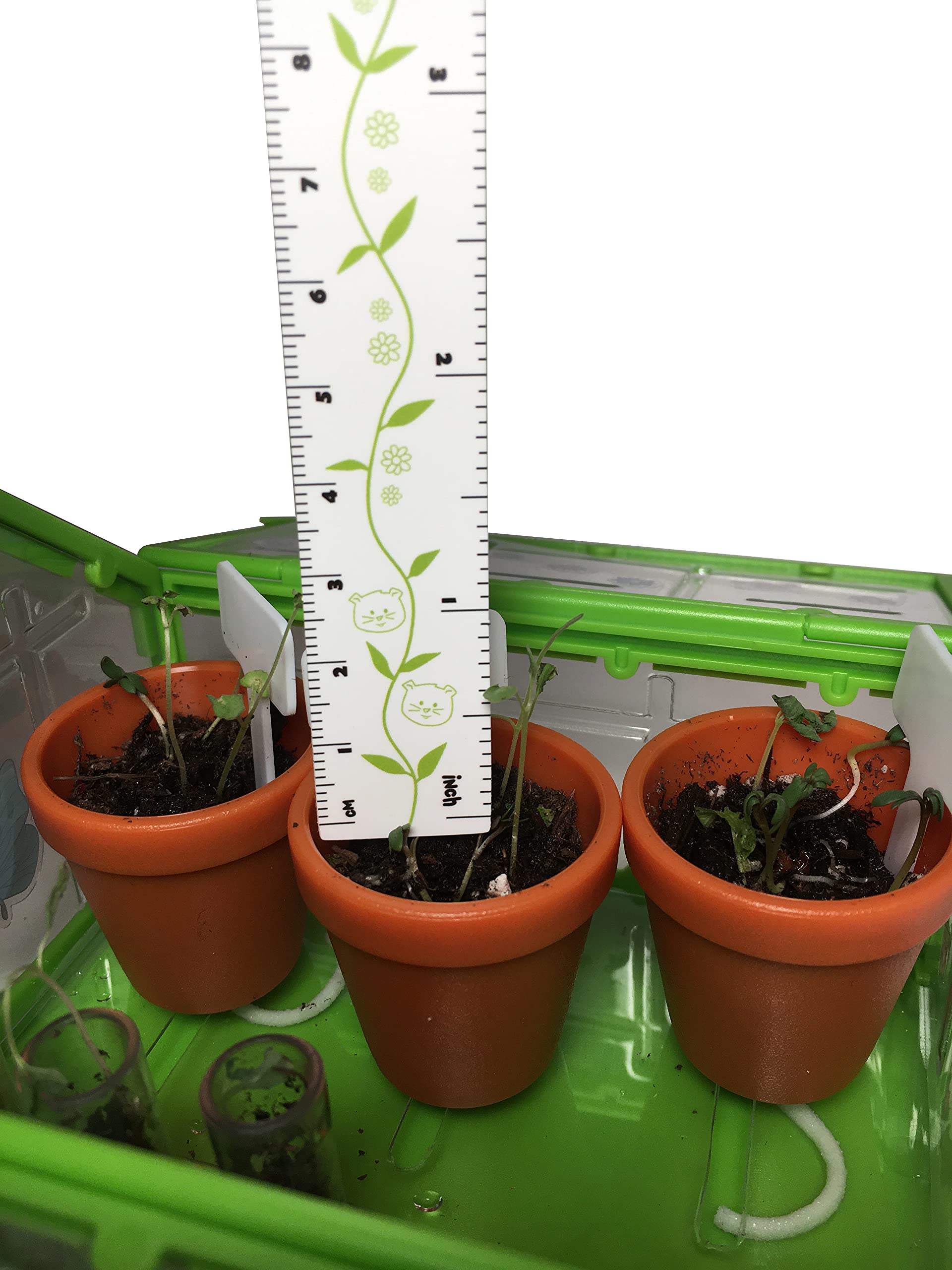 SmartLab Toys TINY Gardening with 20 Enormously Fun Growing Activities. Big Science. Tiny Tools.