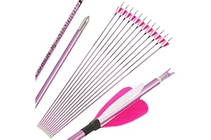 31inch Pure Carbon Arrow Spine 400-1000 Targeting Practice Hunting Arrows Straightness 0.06" for Compound & Recurve Bow (Pack