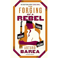 The Forging of a Rebel: The Forge, The Track and The Clash book cover