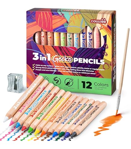 Amazon.com : Faber Castell TFC-WCP/100C Watercolor Colored Pencils
