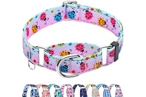 Fidohug Reflective Martingale Collar for Dogs Nylon Training Collar with No Buckle, No Pull Adjustable Dog Collar for Medium Dogs（Gradient Ladybug，M）