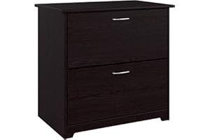 BUSH BUSINESS FURNITURE Bush Furniture Cabot 2 Drawer Lateral File Cabinet in Espresso Oak, Letter, Legal, and A4-size Document Storage for Home Office