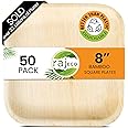 Raj Eco Compostable Palm Leaf Plates Like Bamboo Plates Disposable - 8 Inch Square 50 party plates, Natural wooden, Eco-Friendly, fancy Biodegradable & Disposable Dessert appetizer Plates