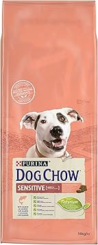 dog friendly indoor places near me