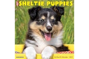 Just Sheltie Puppies 2021 Wall Calendar (Dog Breed Calendar)
