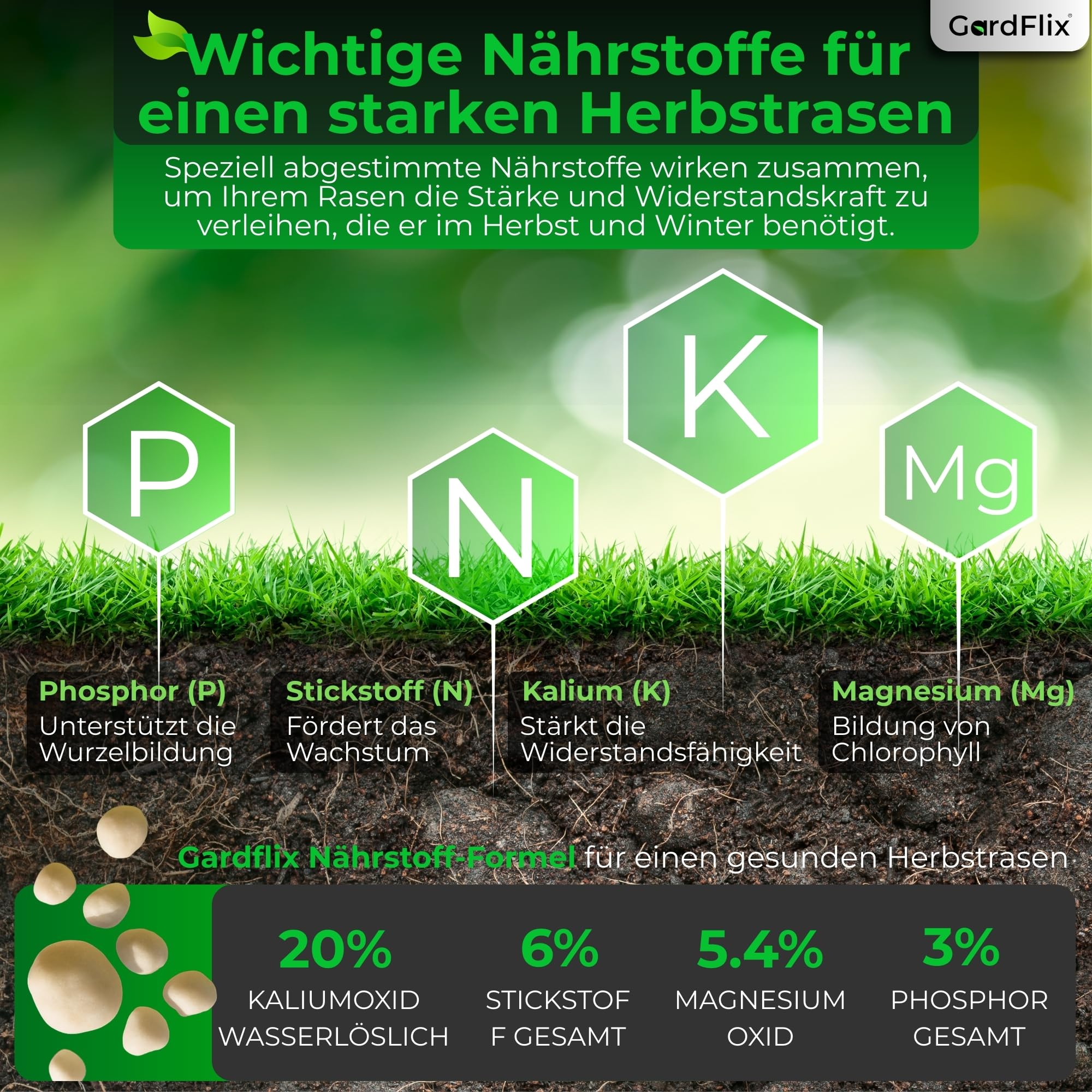 Gardflix Herbstdünger Rasen Langzeitwirkung (5kg Sack für 250m²) | Rasendünger Herbst verdrängt Moos | Frostschutz & Winterfester Rasen | Staubarmer Granulat für Streuwagen | Sicher für Kind & Tier 4