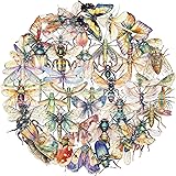 50PCS Insect Stickers PET Transparent Stickers