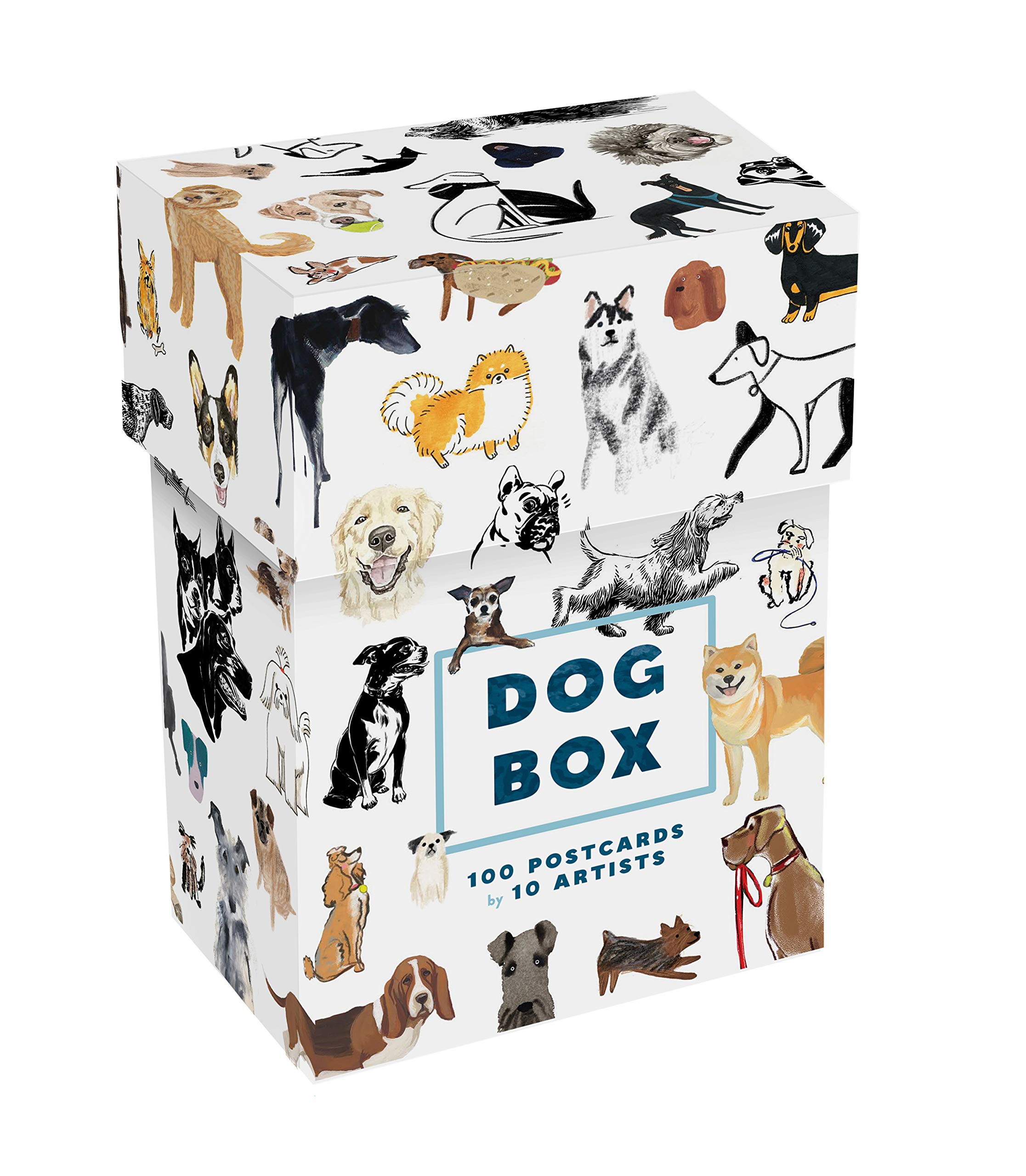 unique dog boxes
