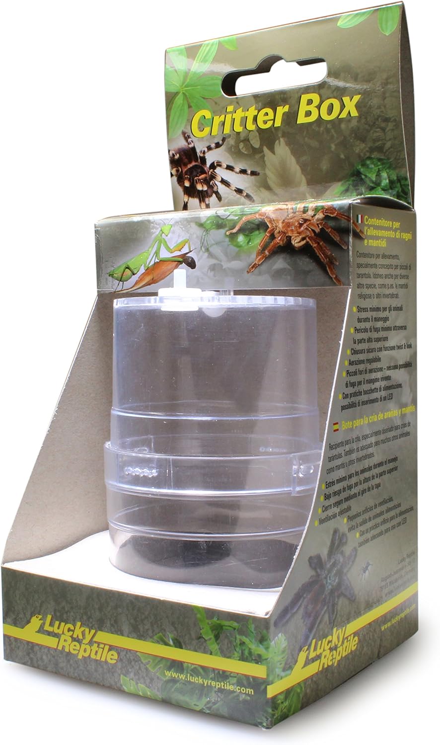 Lucky Reptile Critter Box 6 x 11 cm Tarantulas Mantids and Insects, transparent