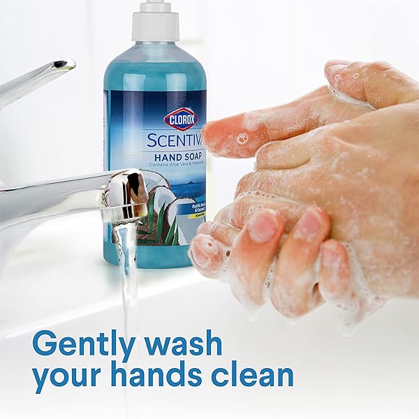 CLOROX SCENTIVA LIQUID HAND SOAP 14 OZ LIQUID HAND WASH WITH VITAMIN B5 BLEACHFREE SCENTED HAND SOAP FOR KITCHEN OR BATHROOM, PACIFIC BREEZE & COCONUT, ALOE VERA, 1 COUNT