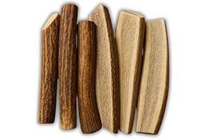 WhiteTail Naturals | Split-Cut Elk Red Deer Antlers for Dogs | (6 Pack Medium) | Cruelty Free | Naturally Shed Elk Dog Chew Bones