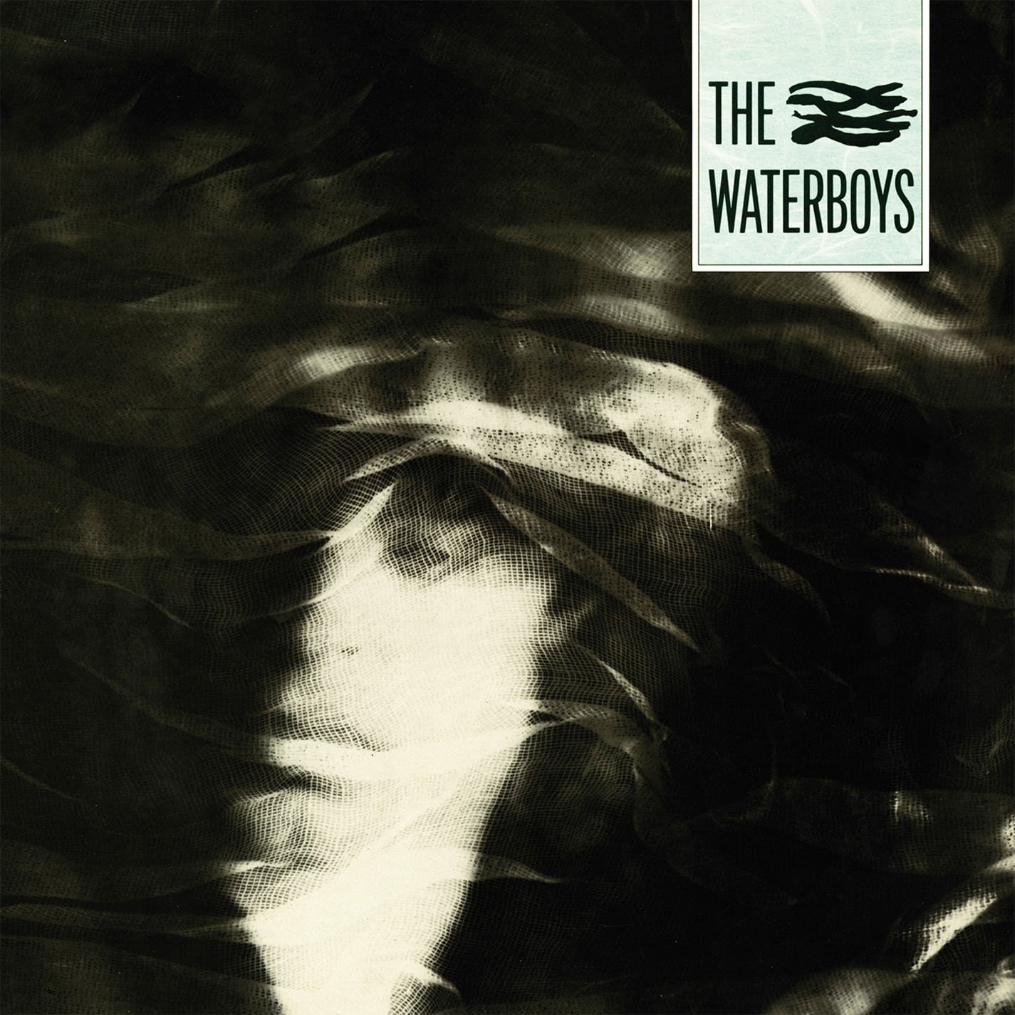 The Waterboys: Waterboys The: Amazon.it: Musica