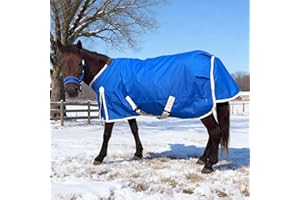 BABYFOXY Mini Horse Pony Foal Turnout Blanket 280g Filling Lightweight Breathable 1680D Miniature (Blue, US 55 inch/EU 110 cm)
