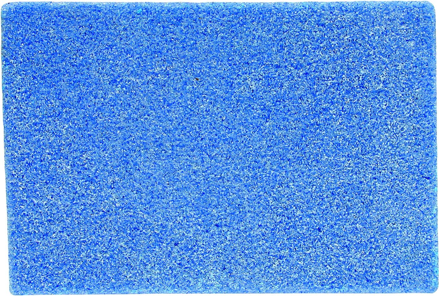 Holmenkol Unisex – Adults Segment Stone Blue Edging