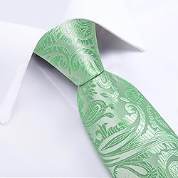 DiBanGu Silk Paisley Ties for Men Woven Necktie and