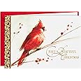 Hallmark Boxed Christmas Cards, Painted Cardinal (40 Cards and 40 Envelopes) Beautiful Christmas