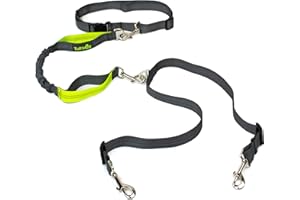 Tuff Mutt Hands Free Double Dog Leash for Running, Walking, and Hiking Two Dogs, Dual Handle Reflective Bungee Connects to Waist Belt, Adjustable No Tangle Coupler, Works with Medium - Large Dogs