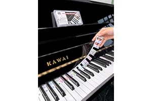 YPTSYSYS Piano Key Labels, Piano Note Stickers Removable for 88/76/61/54/49/37 Keyboard Reusable Silicone Strips Multi-Color Large Bold Letter for Beginners Kids (Colourful)