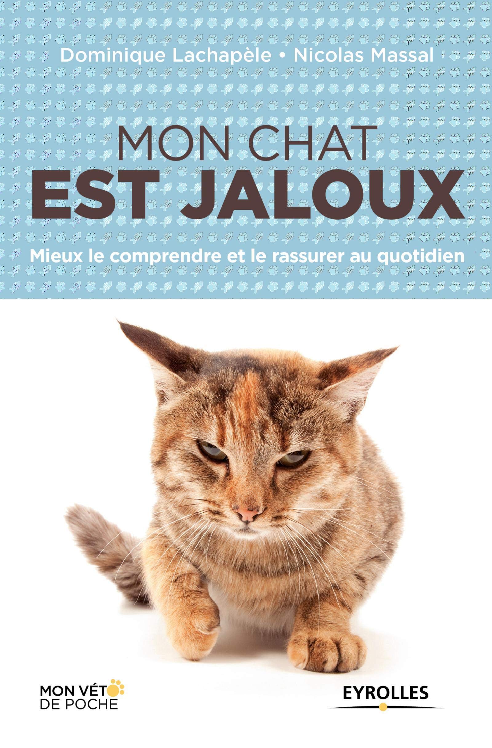 Mon Chat Est Jaloux Mieux Le Comprendre Et Le Rassurer Au Quotidien Mieux Le Comprendre Et Le Rassurer Au Quotidien Eyrolles Massal Nicolas Amazon Com Books