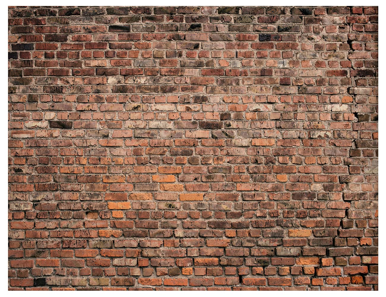 AIIKES 8x6FT Brick Wall Photography Backdrop Red Brick Ancient Theme Stone Brick Design Photography Backdrop Baby Birthday Party Decoration Photo Booth Studio Prop 12-072