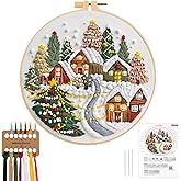 JSRQT Embroidery Starter Kits Xmas Gift Hand Sewing Craft Lover for Adults Beginners Full Range of Stamped DIY Cross Stitch N