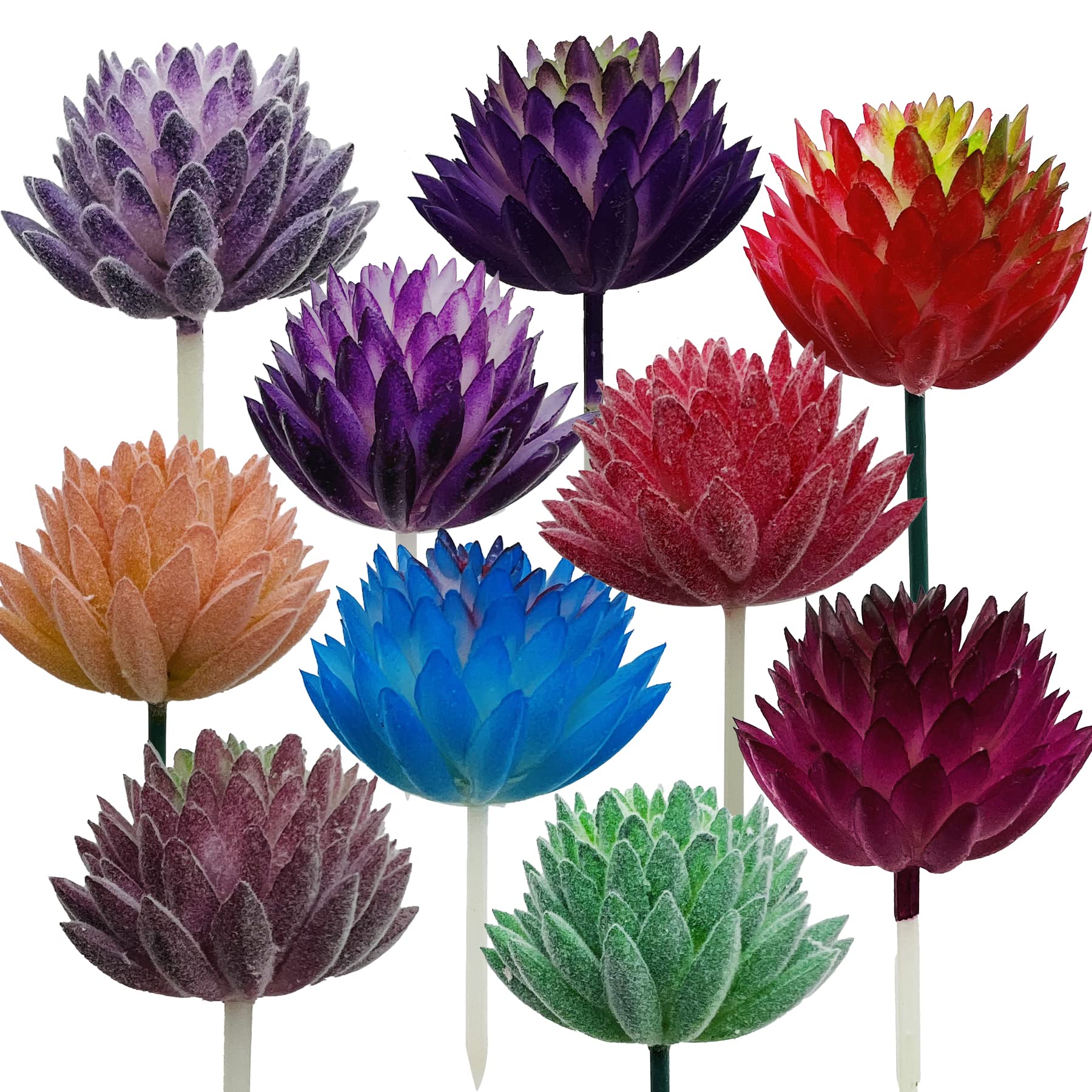 Cayway 10 PCS Artificial Succulent Plants, Mixed Color Artificial Succulents Picks for Indoor and Outdoor Home Decor Floral Arrangements