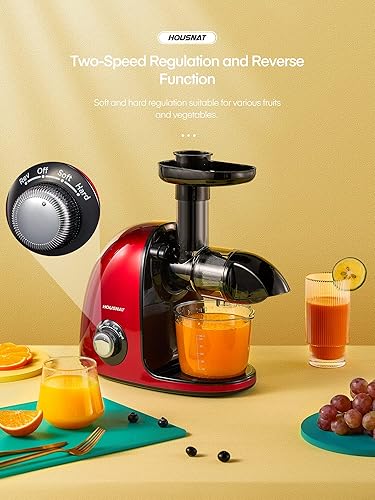 Juicer Machines Vegetable and Fruit, HOUSNAT Cold Press Juicer