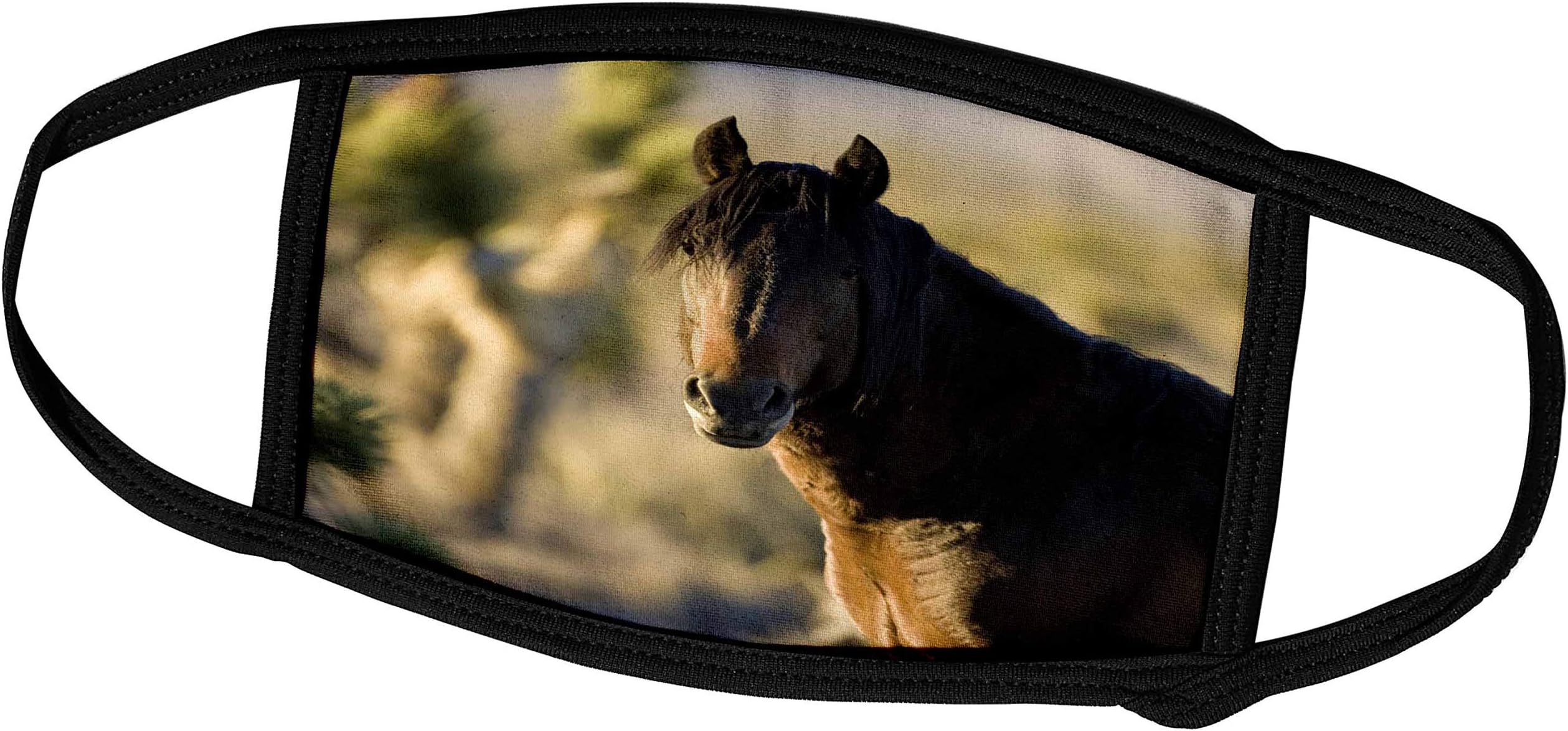 Promini Month Mask - Danita Delimont - Horses - Wild Mustang Horse, Spring Mountain Range, Nevada - US MPR - Maresa Pryor - Dust Mask Outdoor Protective Mask