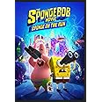 The SpongeBob Movie: Sponge on the Run [DVD]